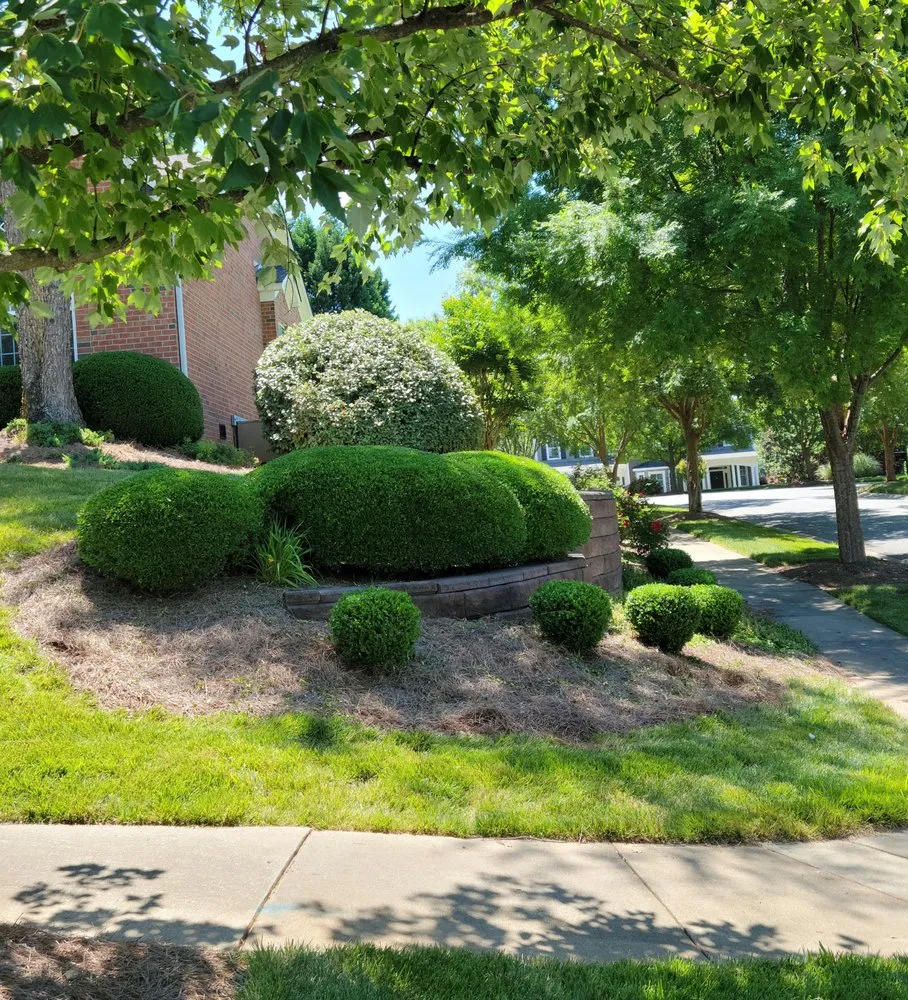 Professional landscape design for year-round maintenance across Concord, NC - Kevins Lawn Care