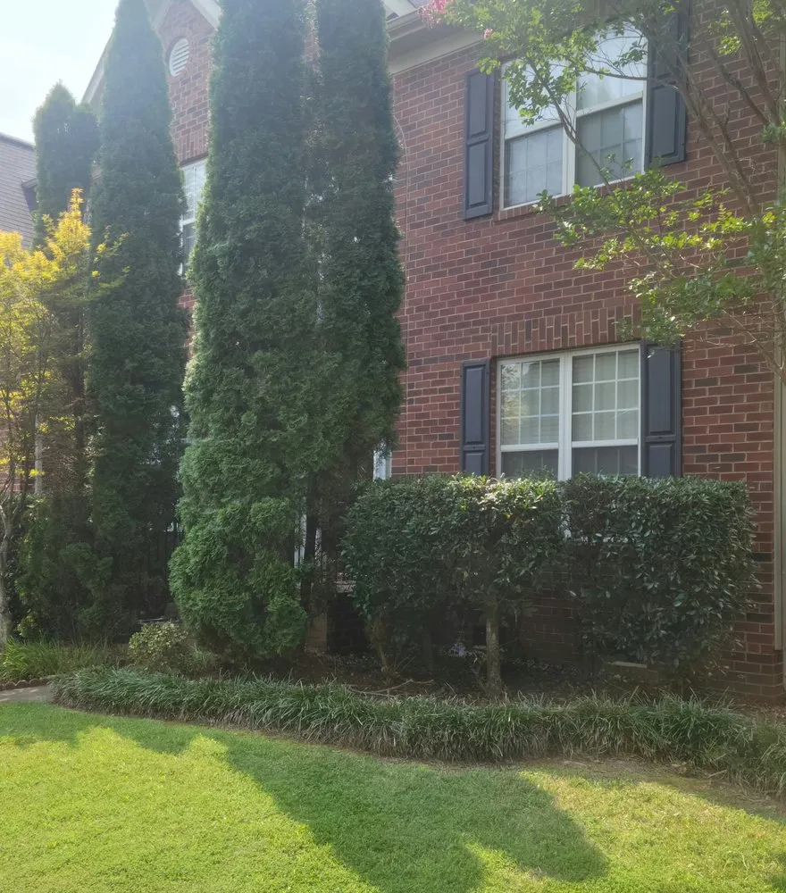 Professional yard maintenance for beautiful yards in Concord, NC by Kevins Lawn Care