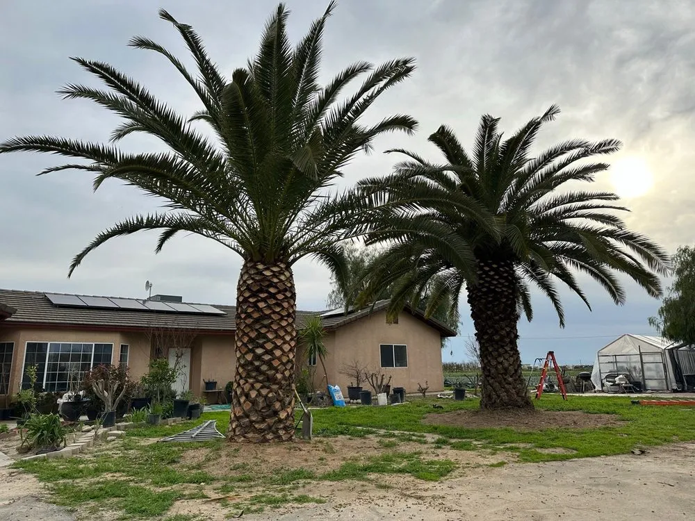 Affordable outdoor landscaping in Visalia, CA by Kevin's Lawn Care Rx