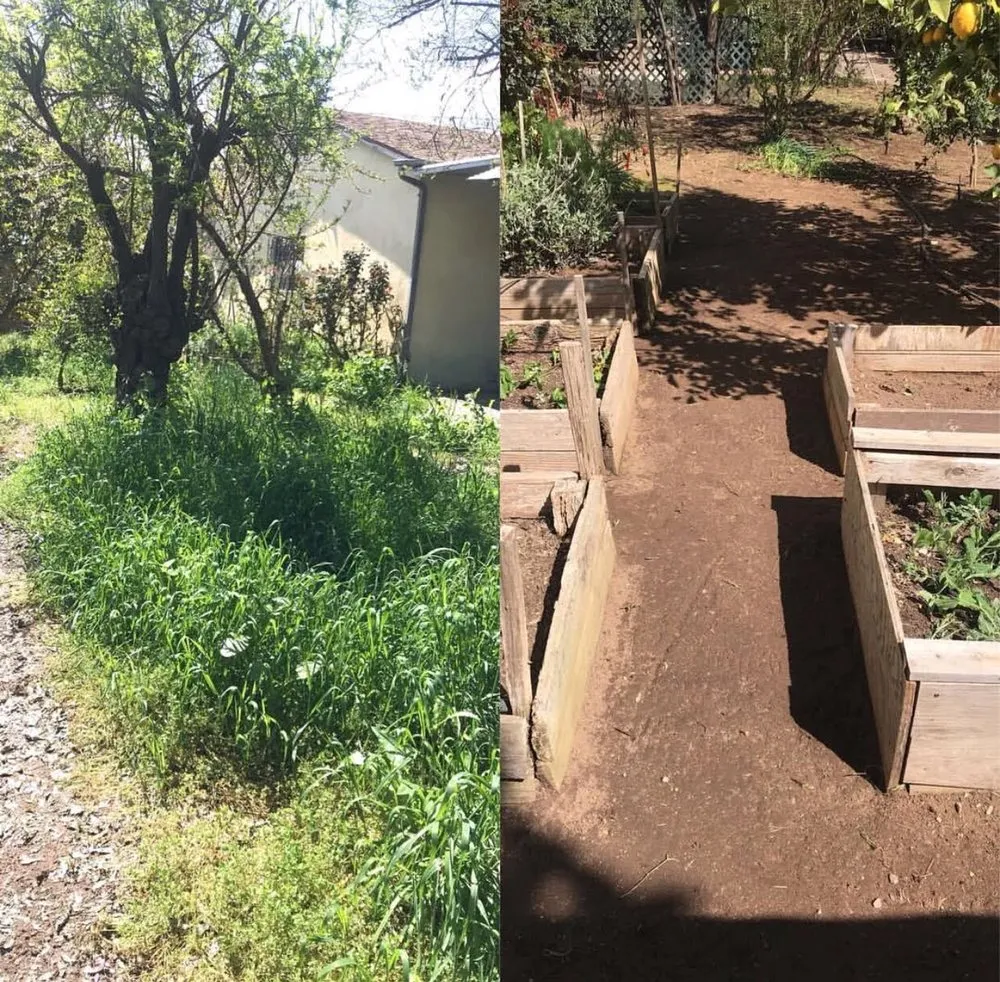 Professional yard maintenance for outdoor upgrades in Visalia, CA by Kevin's Lawn Care Rx