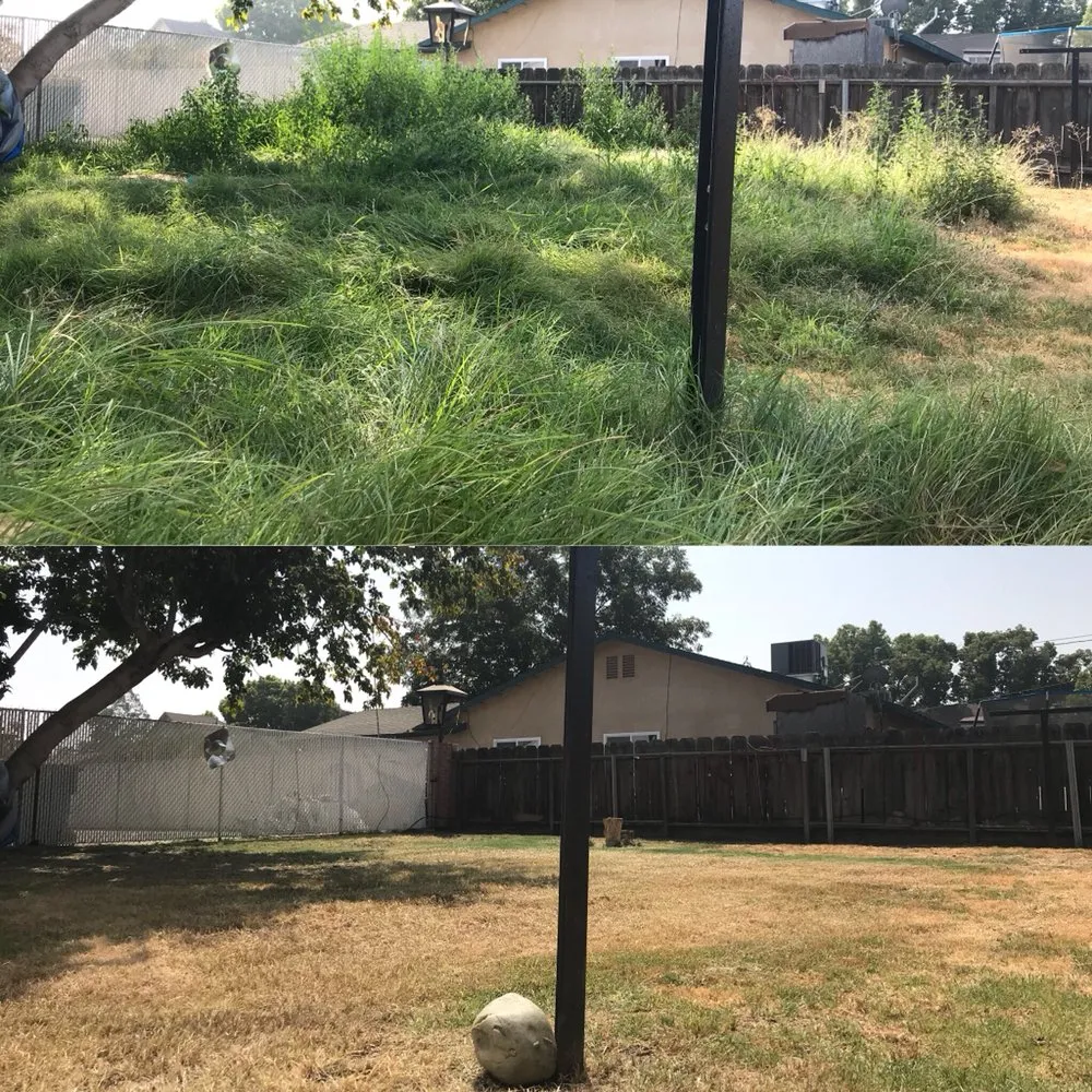 Expert landscape design for year-round maintenance in Visalia, CA by Kevin's Lawn Care Rx