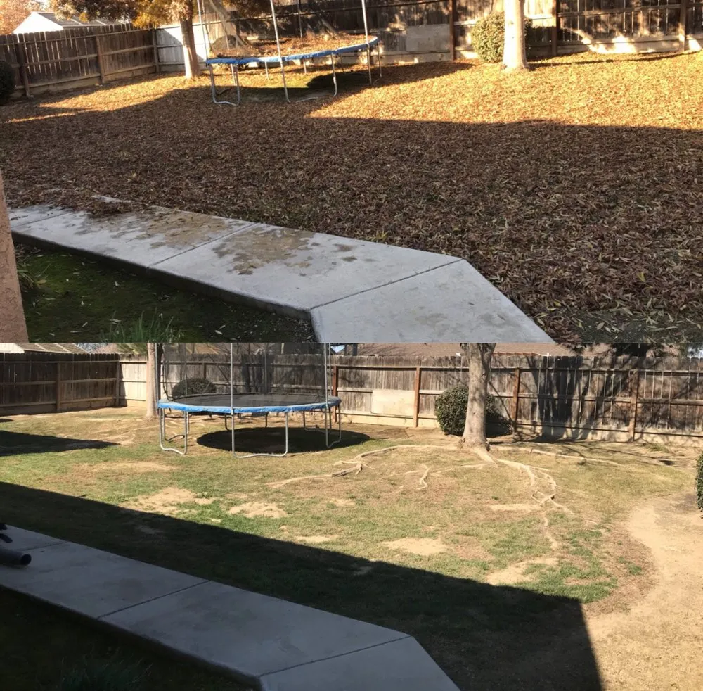 Reliable landscape design for residential properties across Visalia, CA - Kevin's Lawn Care Rx