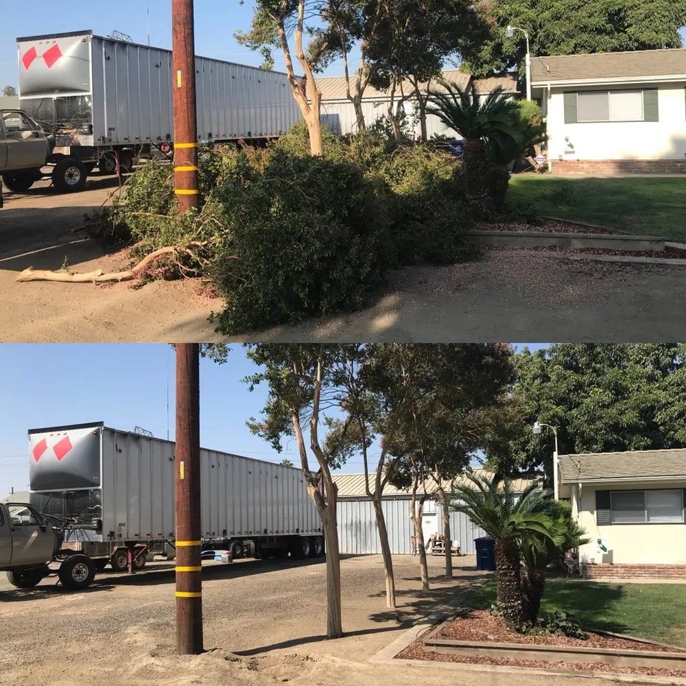 Reliable landscape installation in Visalia, CA by Kevin's Lawn Care Rx