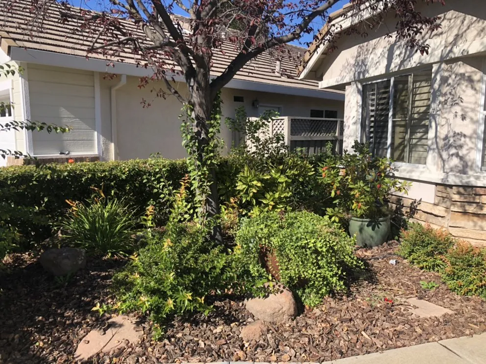 Trusted lawn mowing service for outdoor upgrades in North Highlands, CA by Kevin's Lawn Maintenance