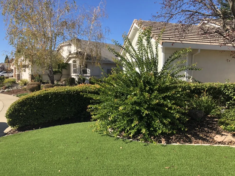 Custom lawn care service in North Highlands, CA - Kevin's Lawn Maintenance