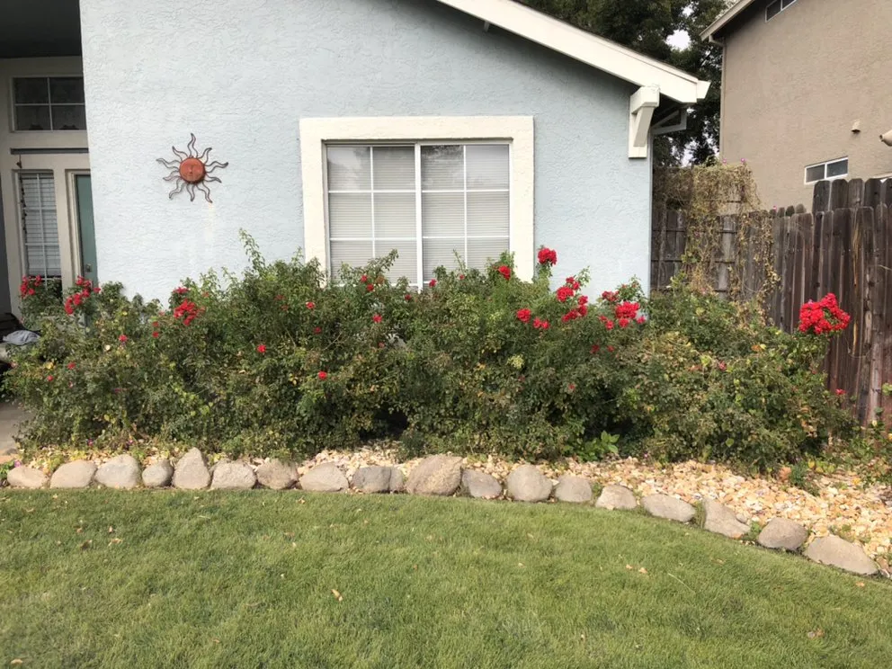 Expert landscaping services experts serving North Highlands, CA - Kevin's Lawn Maintenance