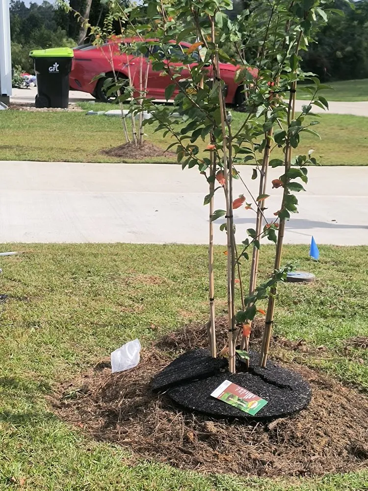 Top-rated residential landscaping experts serving Shallotte, NC - Kevin's Marsh's Lawn Care