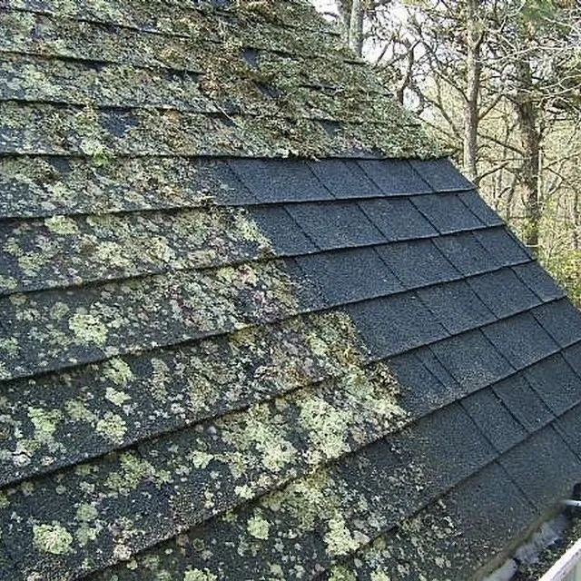 Expert residential landscaping in Winston, OR by Kevin’s Outdoor Services