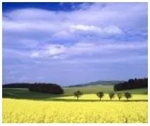 Top-rated yard maintenance in Milton, VT - Kevin's Property Maintenance