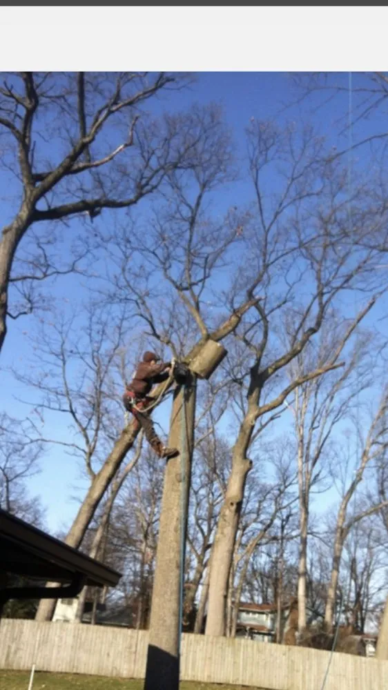 Professional landscaping services in South Bend, IN - Kevin's Tree and Landscaping of Michiana