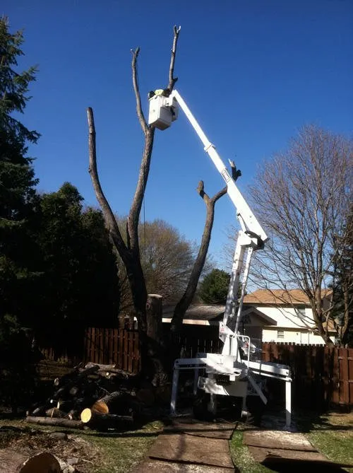 Custom lawn mowing service with custom design across South Bend, IN - Kevin's Tree and Landscaping of Michiana