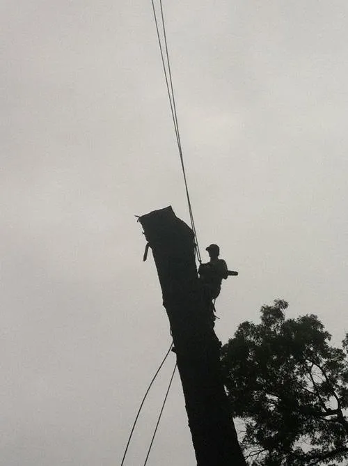 Expert landscape design in South Bend, IN - Kevin's Tree and Landscaping of Michiana