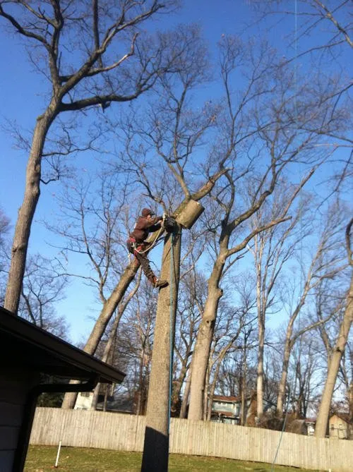 Local yard maintenance with custom design in South Bend, IN by Kevin's Tree and Landscaping of Michiana