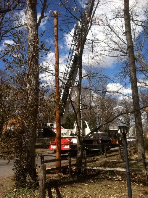 Custom yard cleanup service in South Bend, IN - Kevin's Tree and Landscaping of Michiana