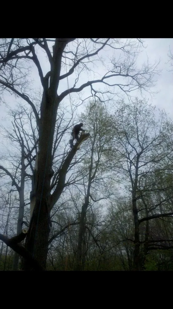 Affordable lawn mowing service for beautiful yards across South Bend, IN - Kevin's Tree and Landscaping of Michiana