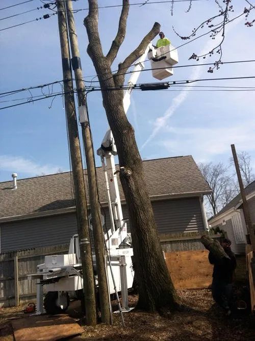 Top-rated lawn mowing service experts serving South Bend, IN - Kevin's Tree and Landscaping of Michiana