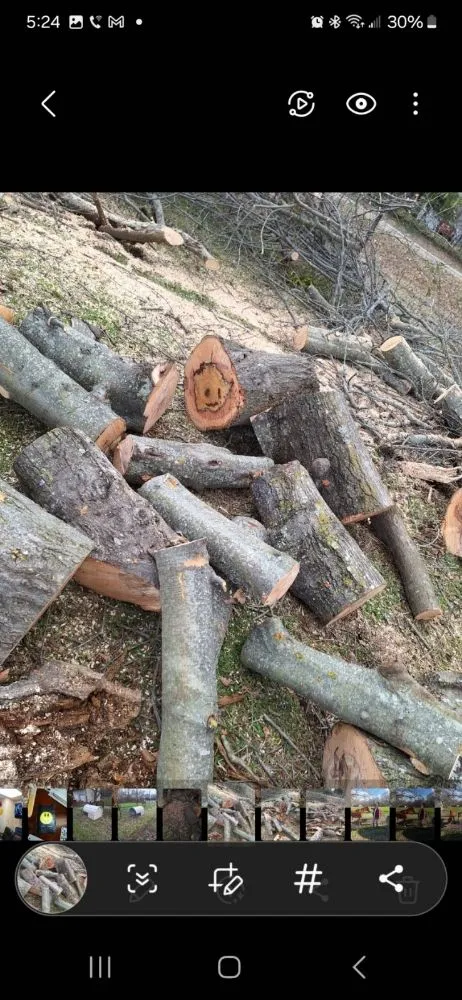 Expert lawn mowing service in Terrell, TX by Kevin's Tree Service Plus