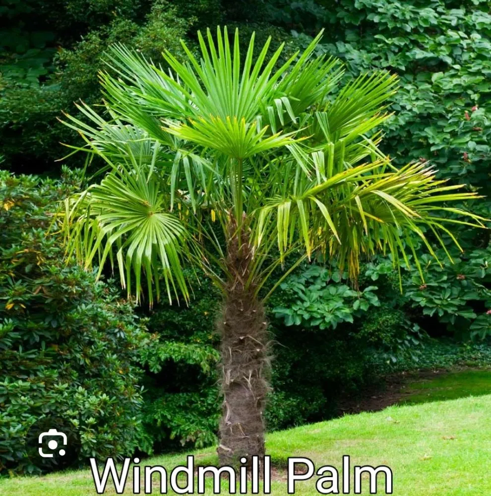 Trusted outdoor landscaping for residential properties across Terrell, TX - Kevin's Tree Service Plus