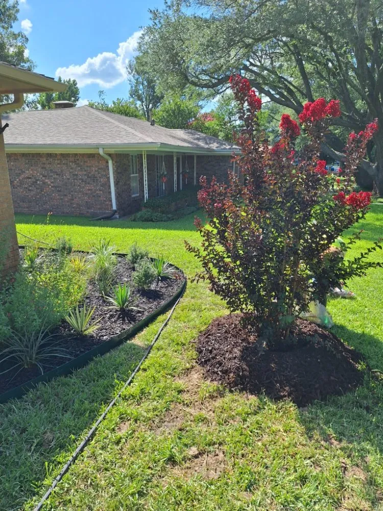 Professional landscaping services in Terrell, TX by Kevin's Tree Service Plus