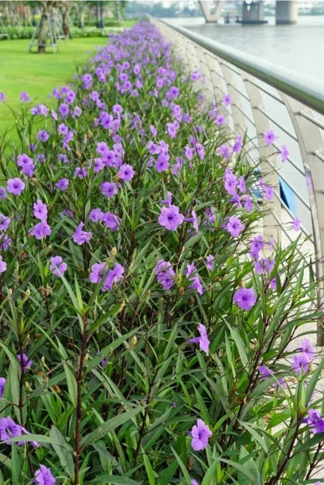 Top-rated lawn mowing service near you in Terrell, TX by Kevin's Tree Service Plus