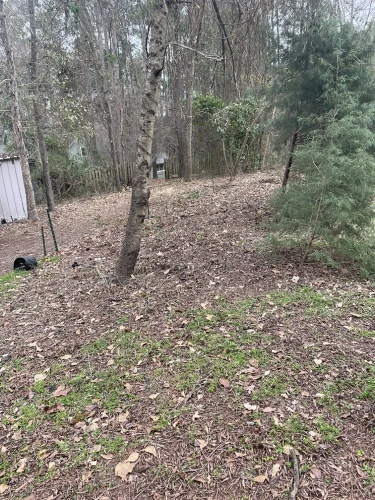 Professional residential landscaping for outdoor upgrades in Augusta, GA by Kevin’s Ultimate Lawn Sprinkler Repair