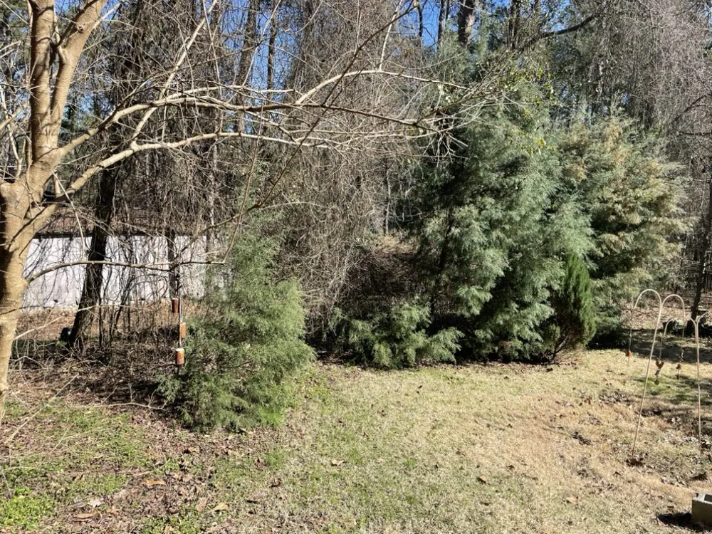 Trusted yard maintenance for homes in Augusta, GA by Kevin’s Ultimate Lawn Sprinkler Repair