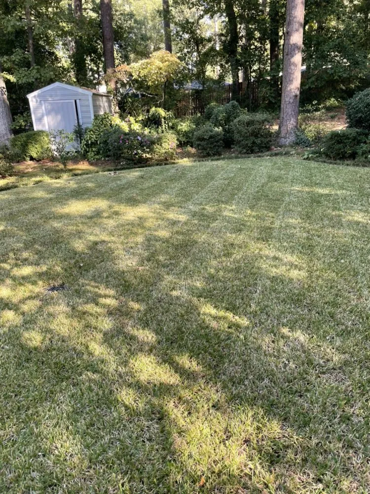 Professional landscape design in Augusta, GA - Kevin’s Ultimate Lawn Sprinkler Repair