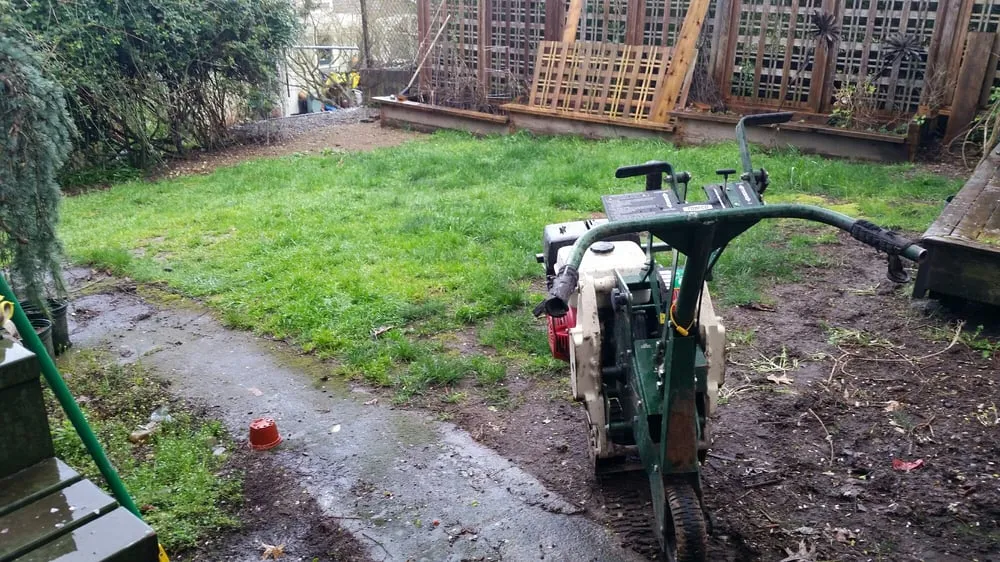 Reliable lawn care service for year-round maintenance across Seattle, WA - Kevin's Yard Work