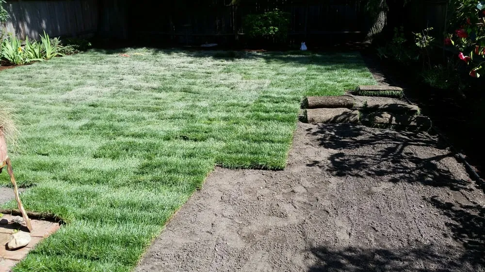 Trusted yard cleanup service with custom design across Seattle, WA - Kevin's Yard Work