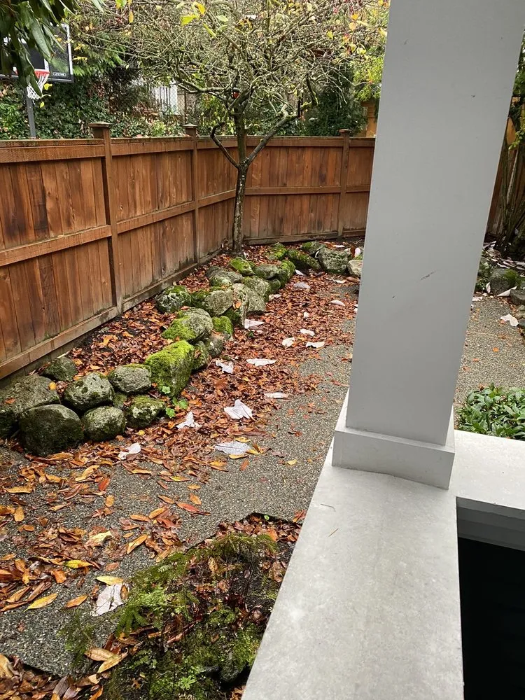 Trusted yard maintenance experts serving Seattle, WA - Kevin's Yard Work