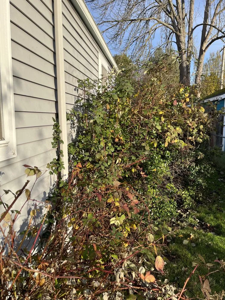 Top-rated landscape design in Seattle, WA by Kevin's Yard Work