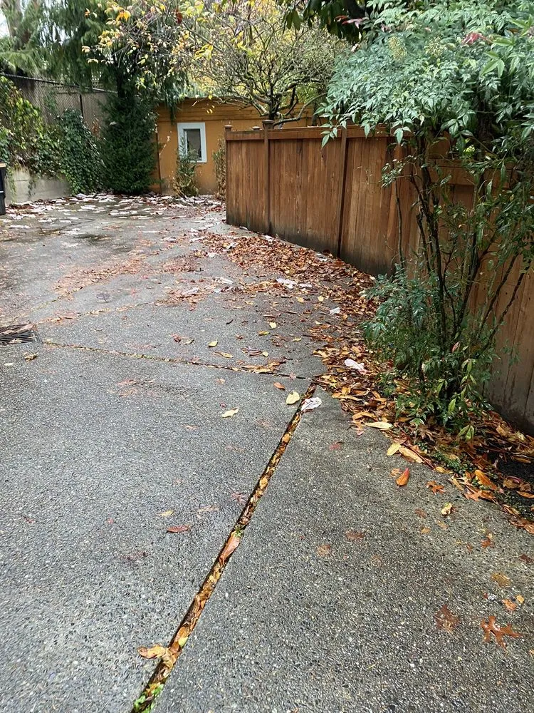 Local lawn care service near you in Seattle, WA by Kevin's Yard Work