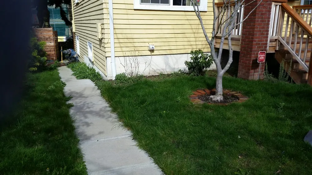 Affordable landscape installation for homes across Seattle, WA - Kevin's Yard Work