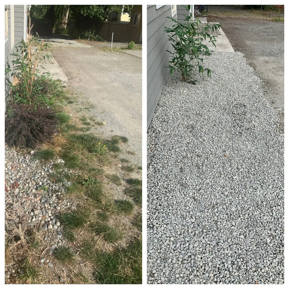 Trusted lawn care service in Seattle, WA by Kevin's Yard Work