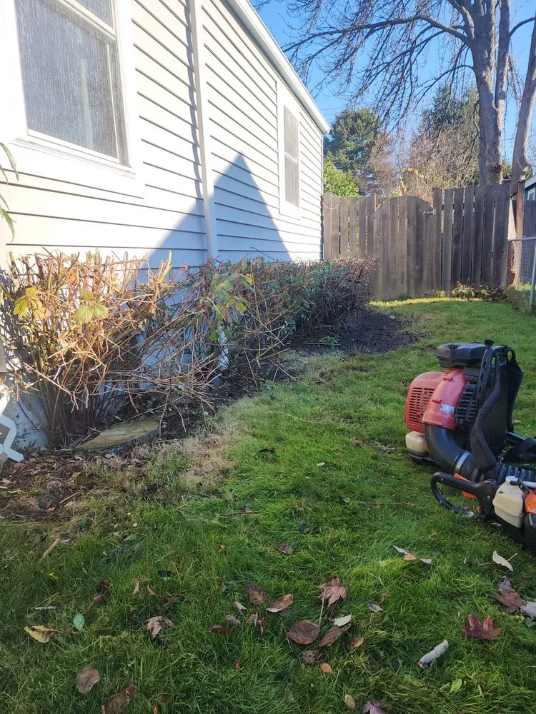 Expert landscape design in Seattle, WA by Kevin's Yard Work