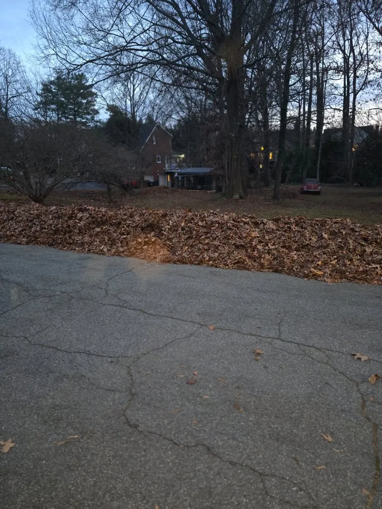 Custom lawn mowing service for residential properties in Winston-Salem, NC by Kevnd's Lawn Service