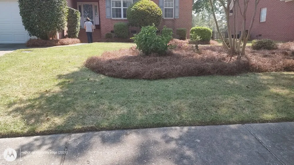 Custom garden landscaping for year-round maintenance across Wagener, SC - KevnLori Professional Lawn Care