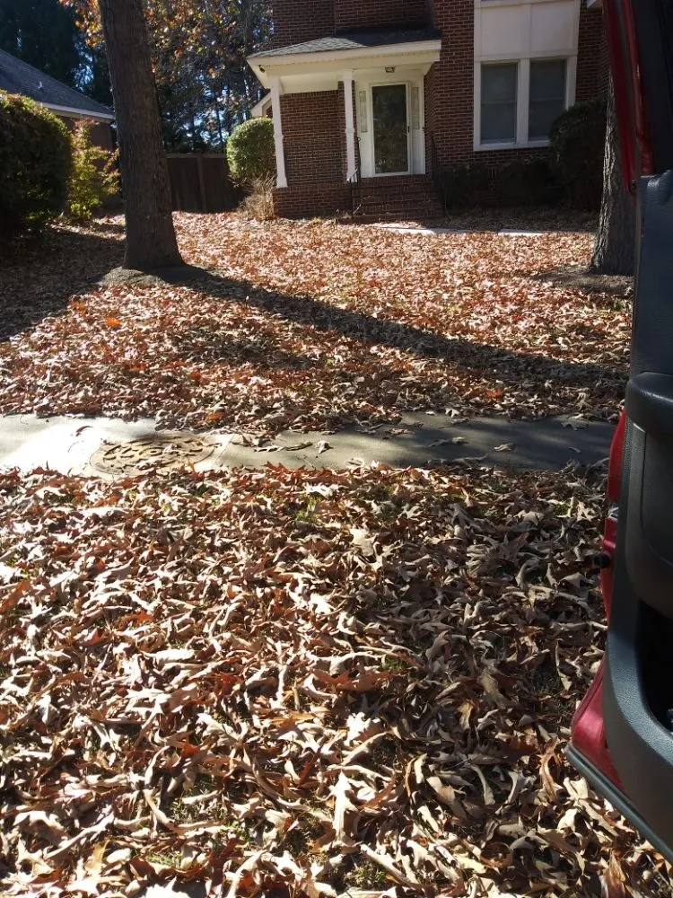 Local lawn care service in Wagener, SC by KevnLori Professional Lawn Care