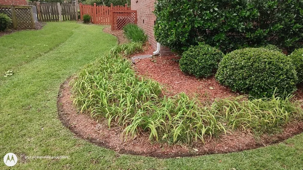 Trusted landscaping services near you across Wagener, SC - KevnLori Professional Lawn Care