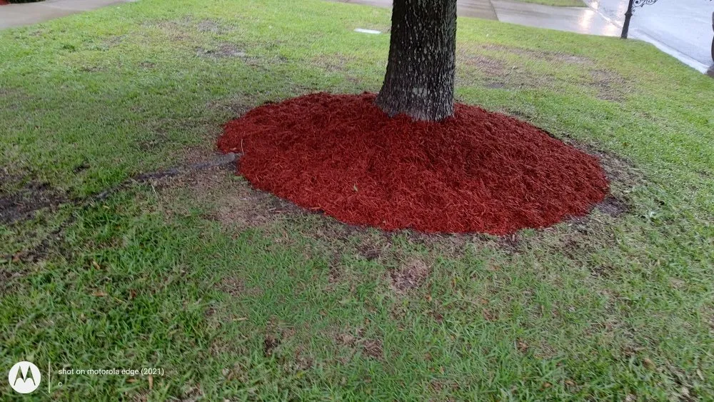 Expert lawn care service in Wagener, SC - KevnLori Professional Lawn Care