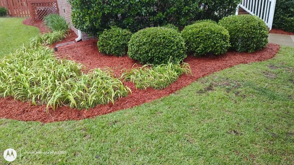 Local landscape installation with custom design in Wagener, SC by KevnLori Professional Lawn Care