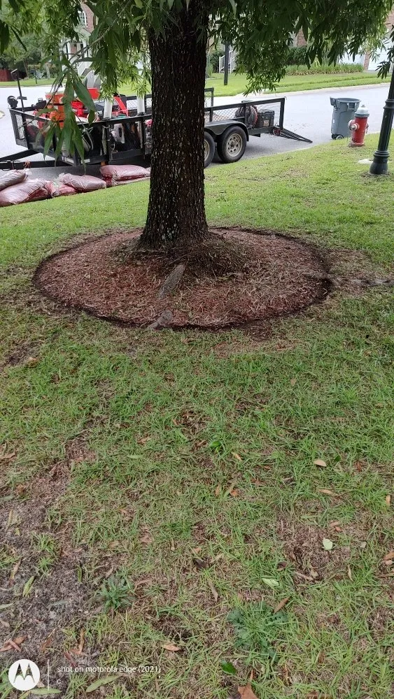 Expert landscaping services in Wagener, SC by KevnLori Professional Lawn Care