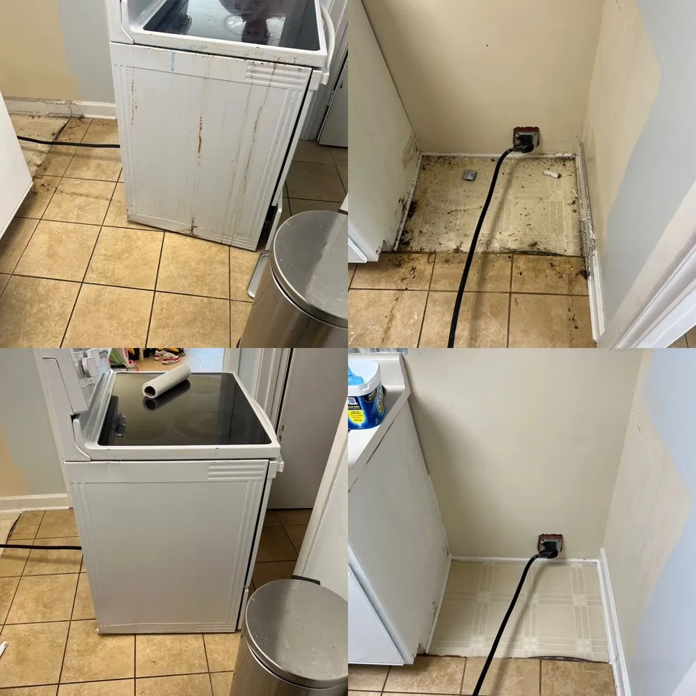 Professional outdoor landscaping with custom design across Myrtle Beach, SC - Kev’s Cleaning & Small Jobs