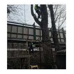 Professional garden landscaping experts serving Westbury, NY - Kev's Landscaping & Tree Service