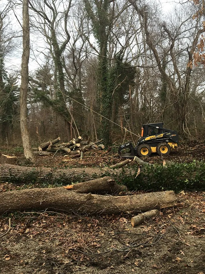 Affordable outdoor landscaping for beautiful yards across Westbury, NY - Kev's Landscaping & Tree Service