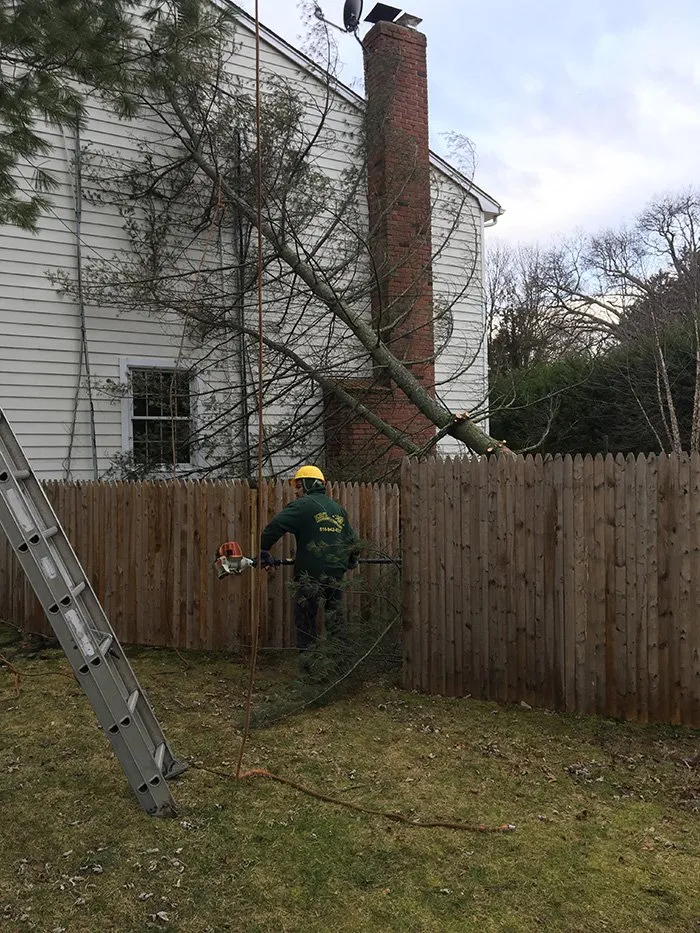 Professional yard maintenance in Westbury, NY by Kev's Landscaping & Tree Service