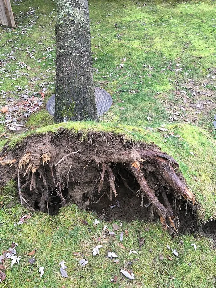 Top-rated landscape installation for outdoor upgrades in Westbury, NY by Kev's Landscaping & Tree Service