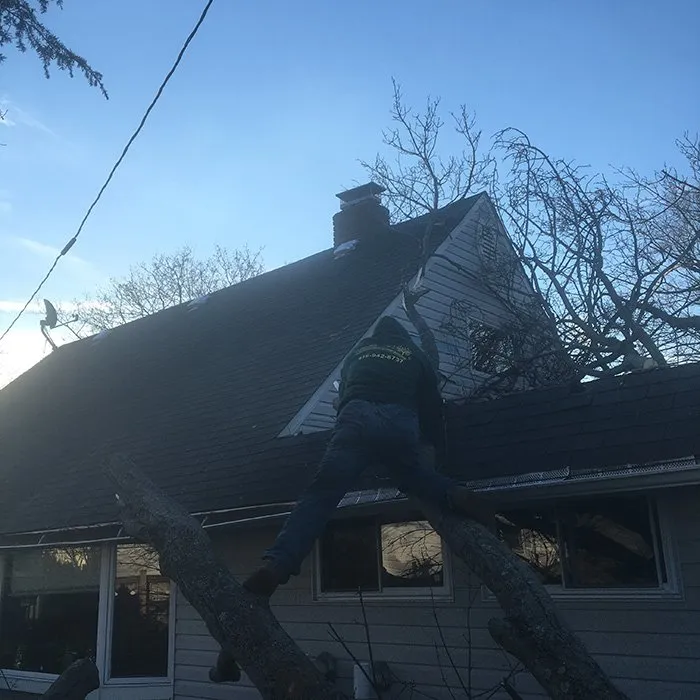 Affordable lawn mowing service experts serving Westbury, NY - Kev's Landscaping & Tree Service