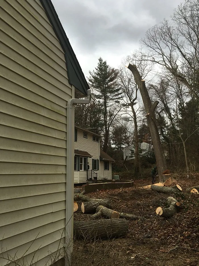 Reliable lawn care service experts serving Westbury, NY - Kev's Landscaping & Tree Service