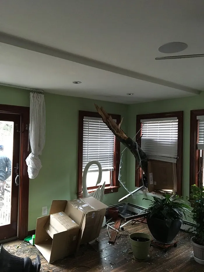 Local residential landscaping in Westbury, NY - Kev's Landscaping & Tree Service